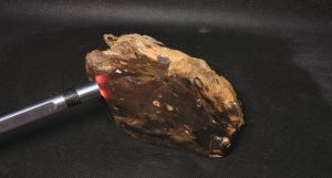 Хацедон Сардер Староситненский  