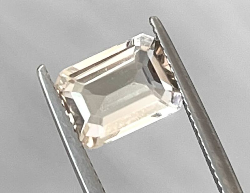 Фото Лабрадор золотой 