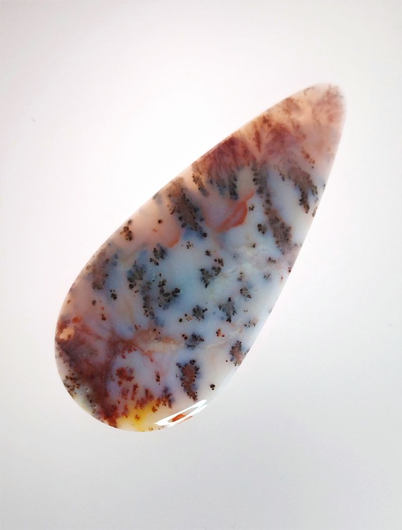 Фото Агат многоцветный дендритовый Чимкентский 