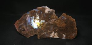 Агат Дендритовый Пейзажный (Казахстан) 
