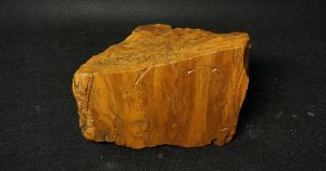 Окаменелое дерево 