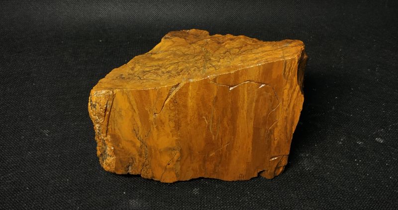 Фото Окаменелое дерево 