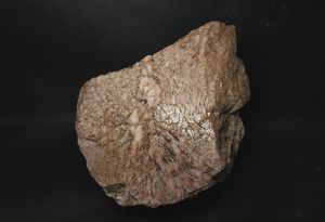 Письменный гранит. Еврейский камень (Карелия) 