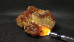 Сердолик Зейский 