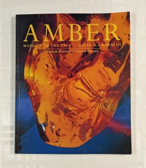 Grimaldi D.A. Amber Window to the Past 