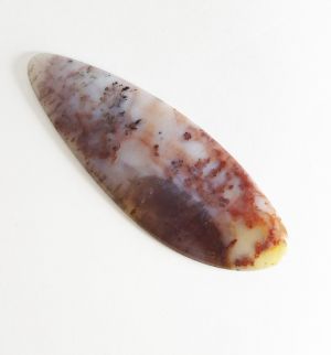 Агат многоцветный дендритовый Чимкентский  