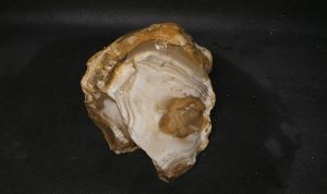 Кремень Агатовидный Дмитровский 