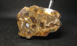 Агат Дендритовый Пейзажный (Казахстан) 