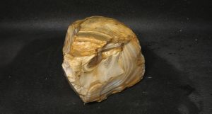 Кремень Агатовидный Дмитровский 