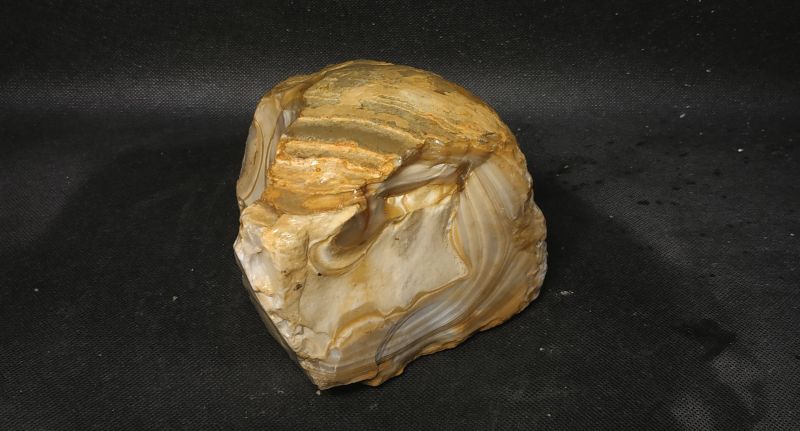 Фото Кремень Агатовидный Дмитровский 