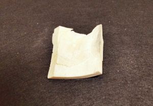 Бивень мамонта 