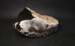 Агат черный моховый с жеодой (Серпухов) 