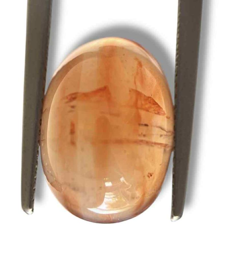 Фото Сердолик-N "Инкогнито" (Танзания) 