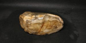 Кремень Агатовидный Дмитровский 