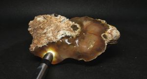 Агат Дендритовый Пейзажный (Казахстан) 